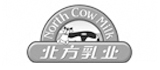 北方乳业 网站搭建