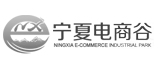 银川国际交流中心网页制作