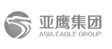 亚鹰集团网页设计