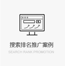 搜索排名推广案例