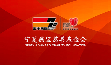 宁夏燕宝慈善基金会